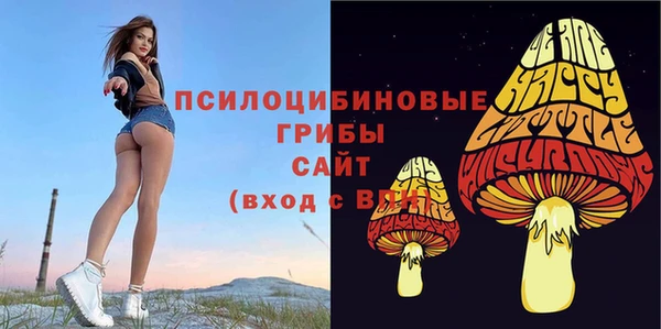 ГАЛЛЮЦИНОГЕННЫЕ ГРИБЫ Нефтекумск