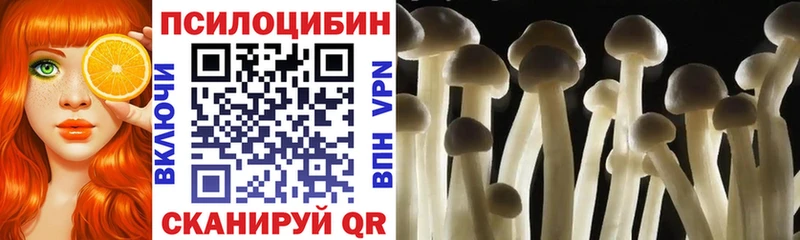 Галлюциногенные грибы MAGIC MUSHROOMS Партизанск