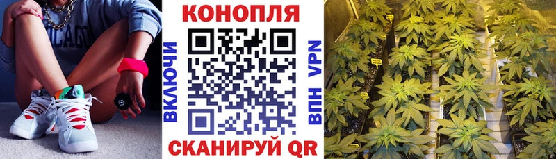 Бошки Шишки семена Партизанск